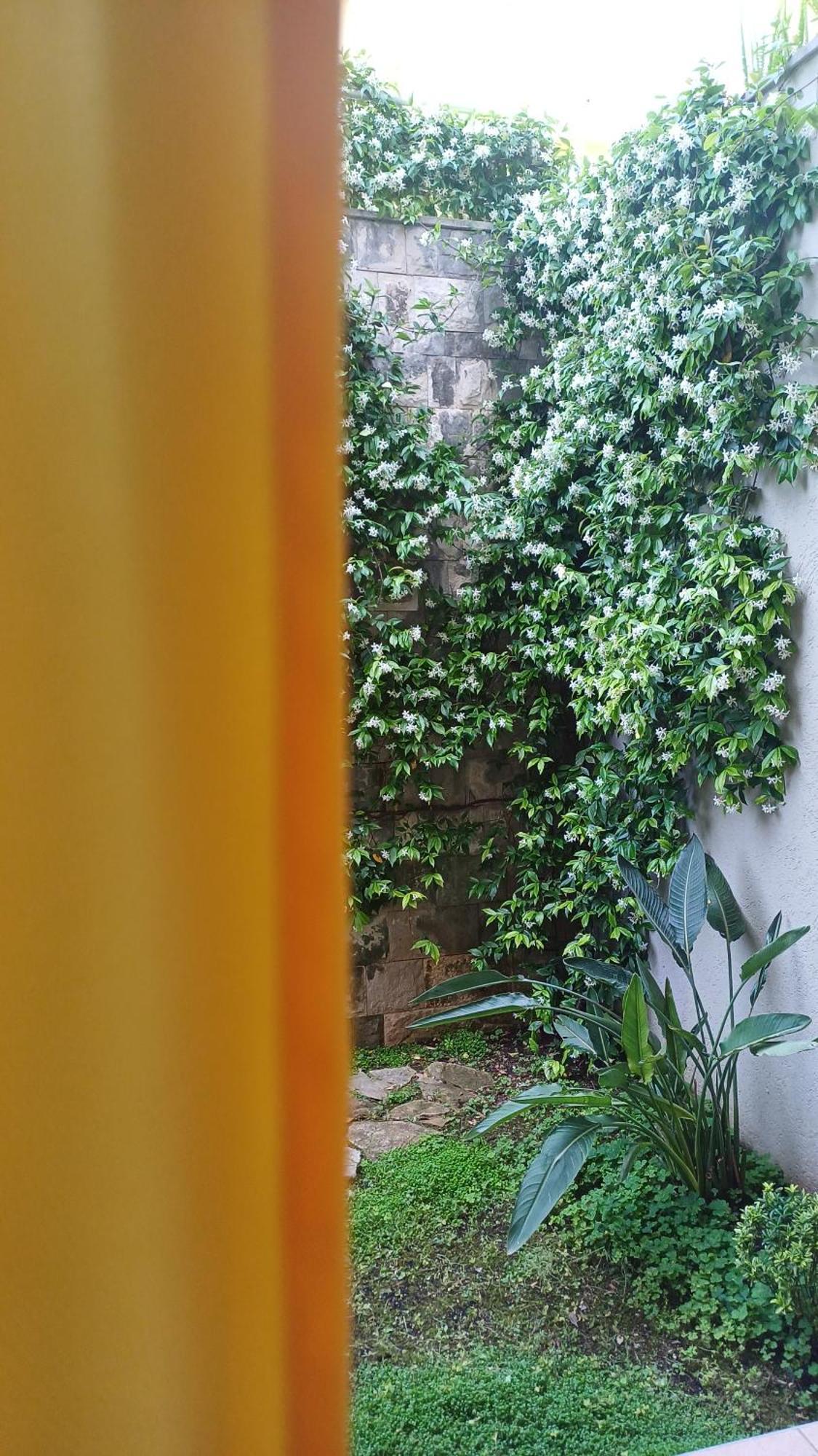 Apartman Stijepcic Herceg Novi Extérieur photo